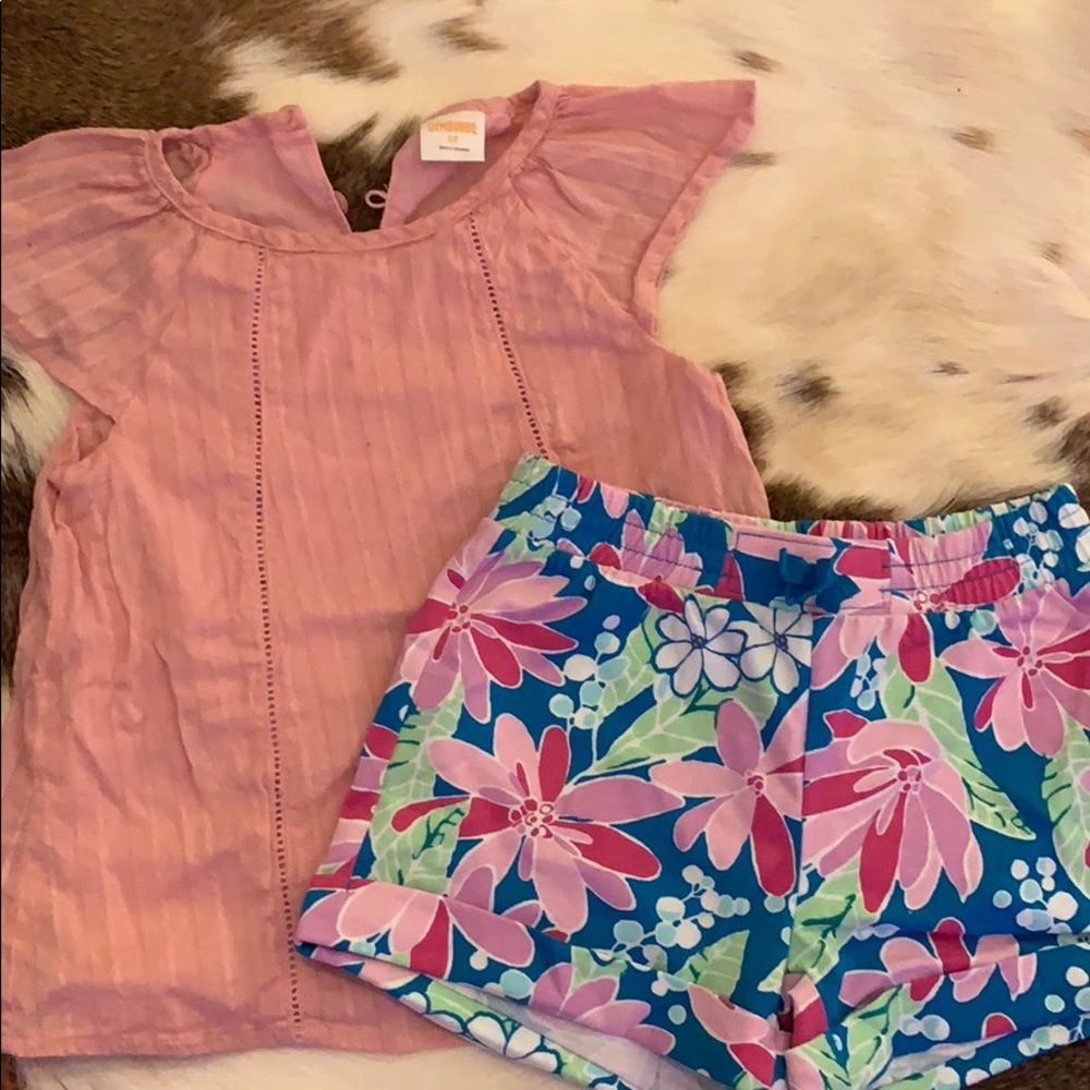 Girls Gymboree matching outfit